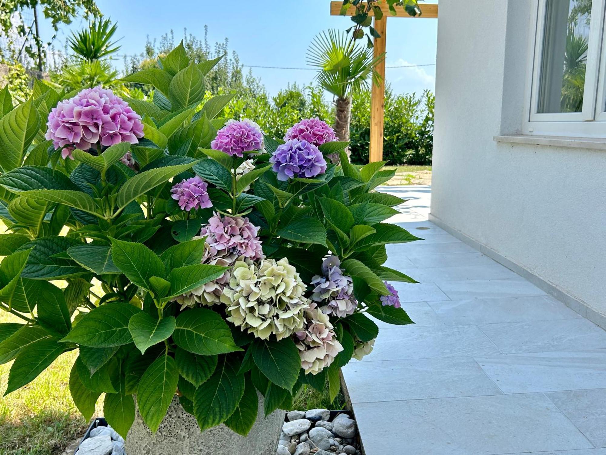 Villa Palma Laurana Esterno foto